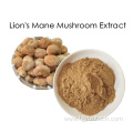 Supply Natural Lion's Mane Mushroom Extract Powder